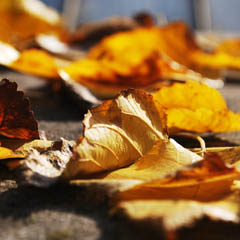 深色模式护眼的在线DDOS平台攻击